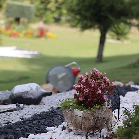 Sonho Semesterbostad Ribeira de Pena