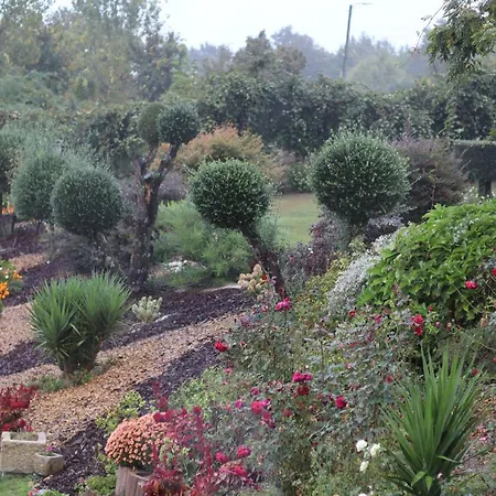 Sonho * Ribeira de Pena