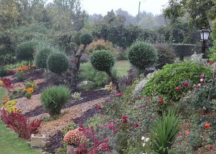 Sonho * 里贝拉迪佩纳